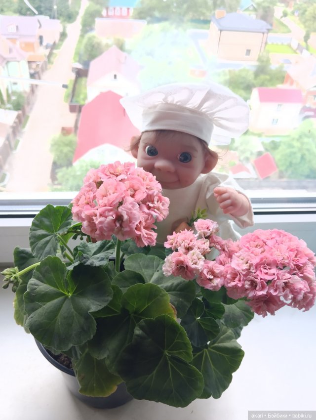 Каритас- помощник на кухне (фото 7)