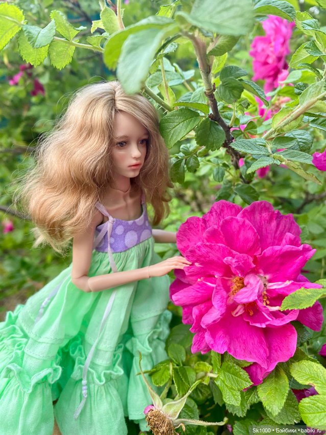 На закате с Софи — Разные куклы BJD (БЖД): редкие бренды
