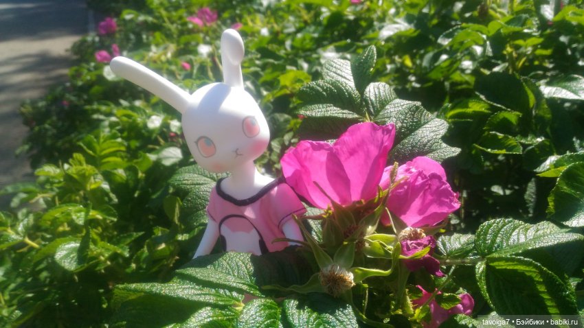 "Ранний рассвет скрипит по нервам" (фото 8)