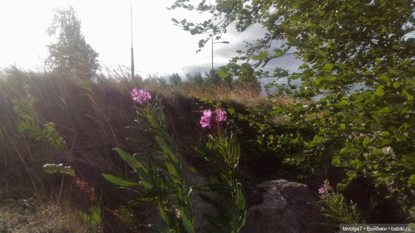 "Ранний рассвет скрипит по нервам" (фото 4)