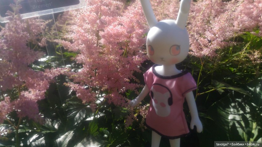 "Ранний рассвет скрипит по нервам"