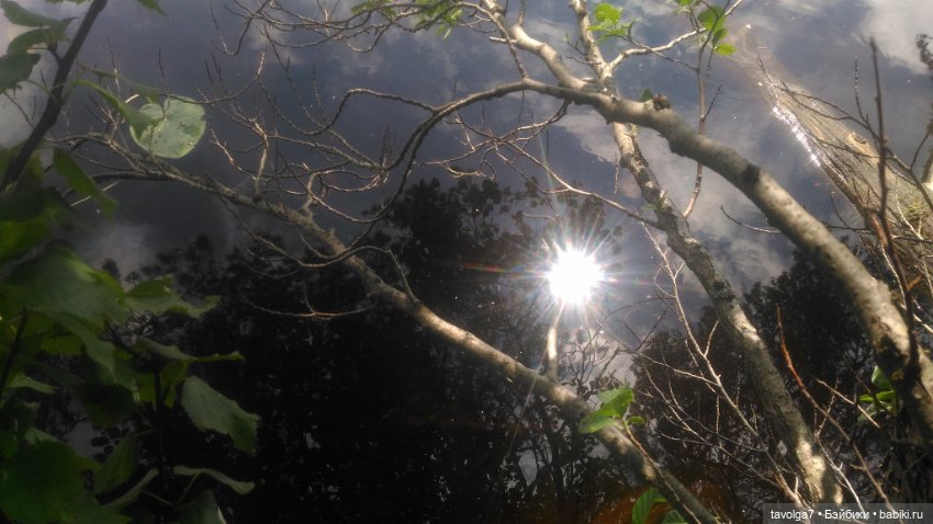 "Ранний рассвет скрипит по нервам" (фото 10)