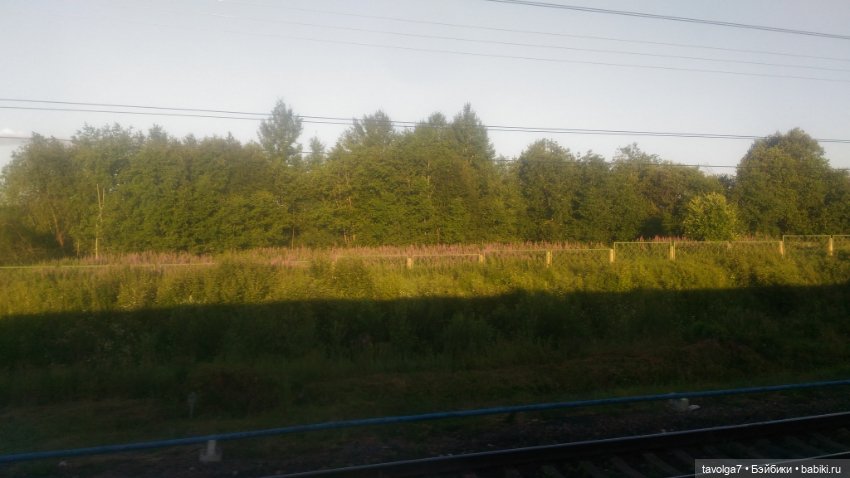 "Ранний рассвет скрипит по нервам"