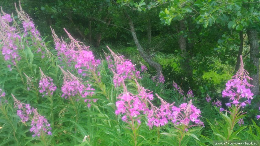 "Ранний рассвет скрипит по нервам"