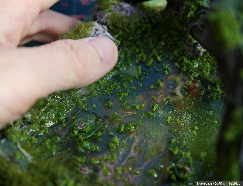 Миниатюрные Офелии — Зарисовки из кукольной жизни: фотоистории (фото 9)