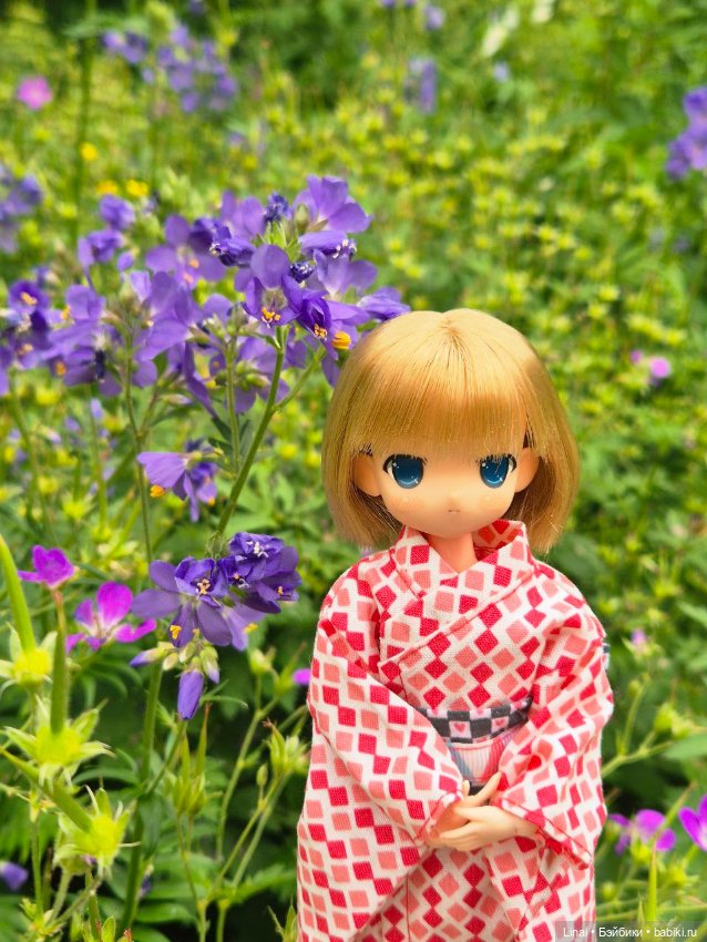 Волшебство Аптекарского огорода