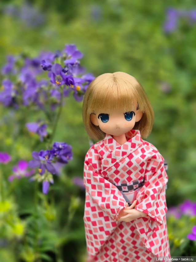 Волшебство Аптекарского огорода