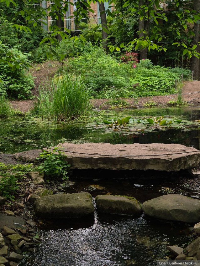 Волшебство Аптекарского огорода