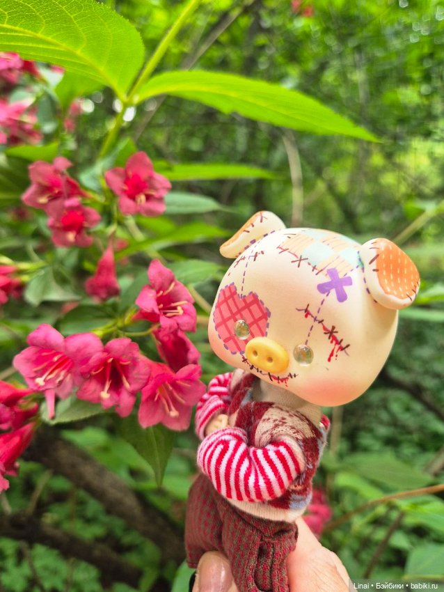 Волшебство Аптекарского огорода