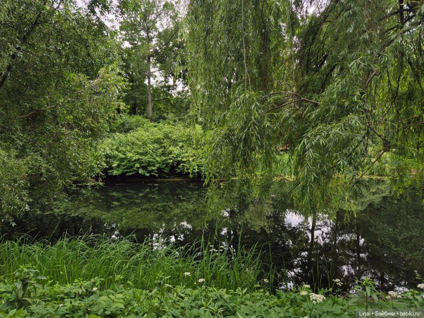 Волшебство Аптекарского огорода