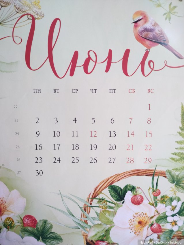 Июнь. Цветы — Красивая природа и цветы: фото пейзажей