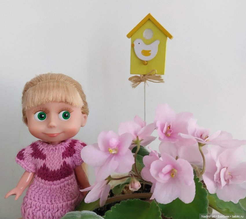 Июнь. Цветы — Красивая природа и цветы: фото пейзажей (фото 7)