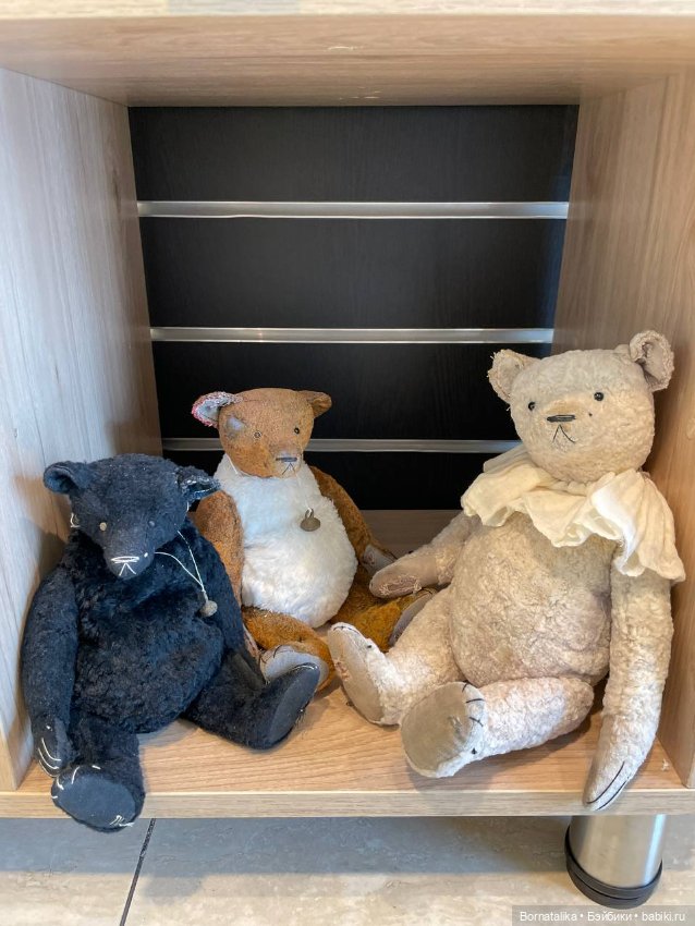 Приглашаю заглянуть на выставку мишек тедди в Питере 2025 (фото 4)