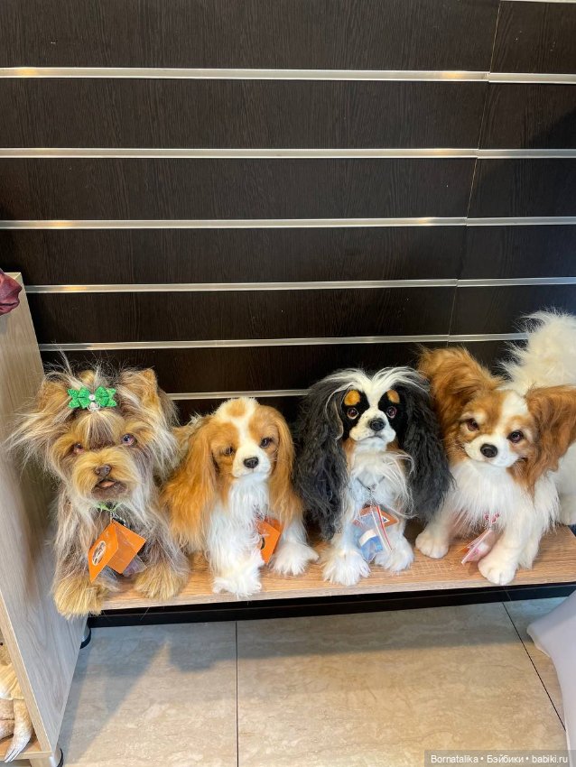 Приглашаю заглянуть на выставку мишек тедди в Питере 2025