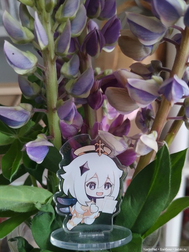 Июнь. Цветы — Красивая природа и цветы: фото пейзажей