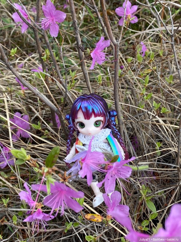 В лиловом лесу — Игровые куклы разных производителей (Разное): редкие бренды (фото 9)