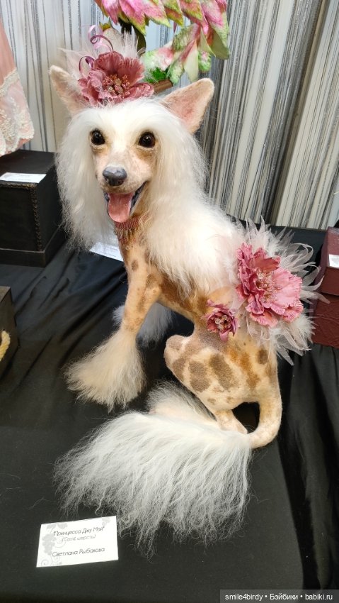 Бал кукол в Москве 12-15.06.2025 часть 6 (фото 5)