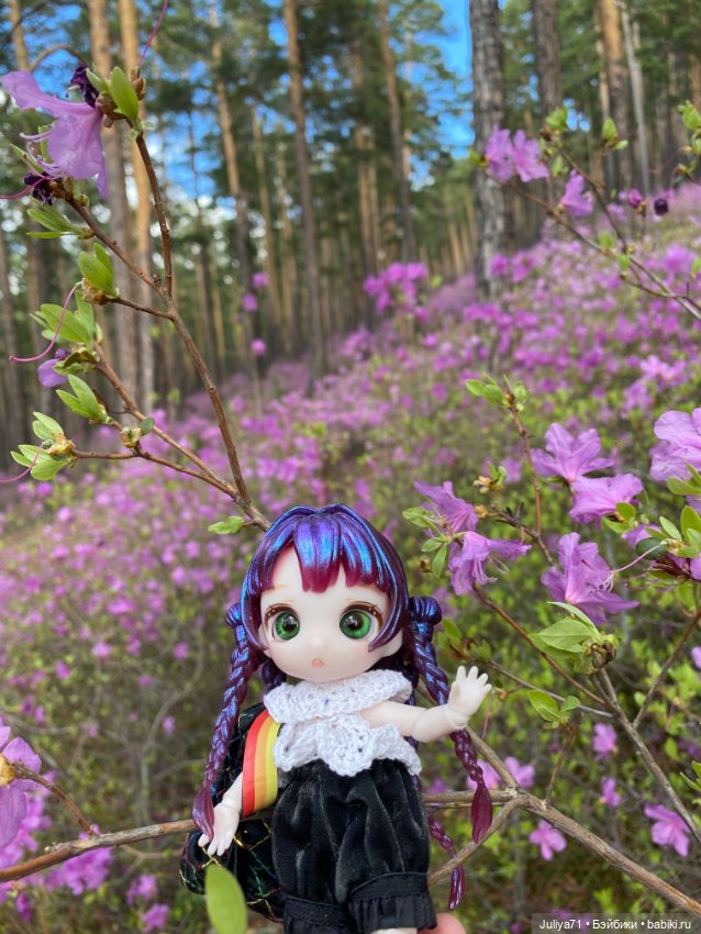 В лиловом лесу — Игровые куклы разных производителей (Разное): редкие бренды