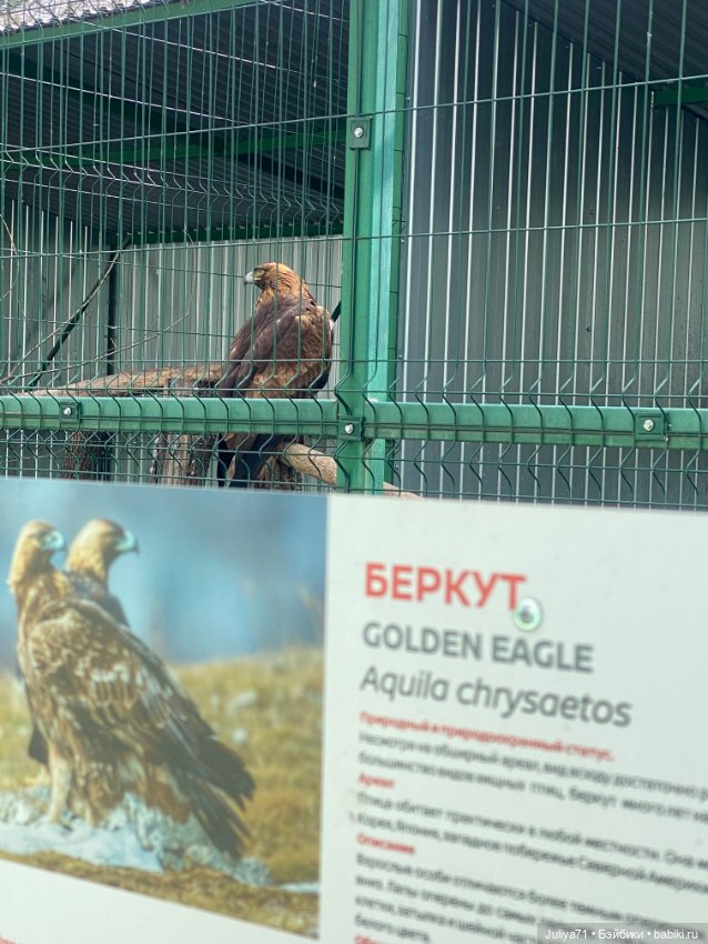 Апрельское путешествие маленькой Луны (фото 3)