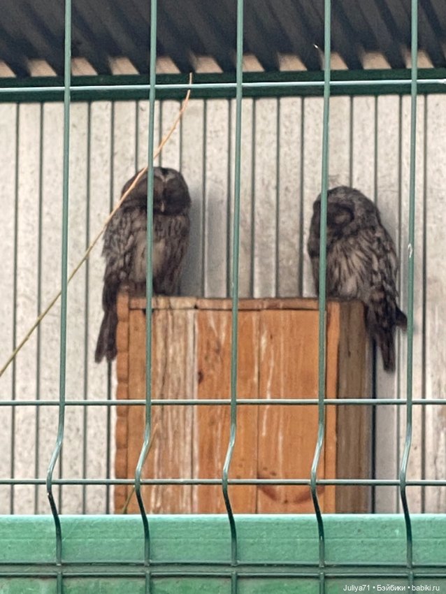 Апрельское путешествие маленькой Луны