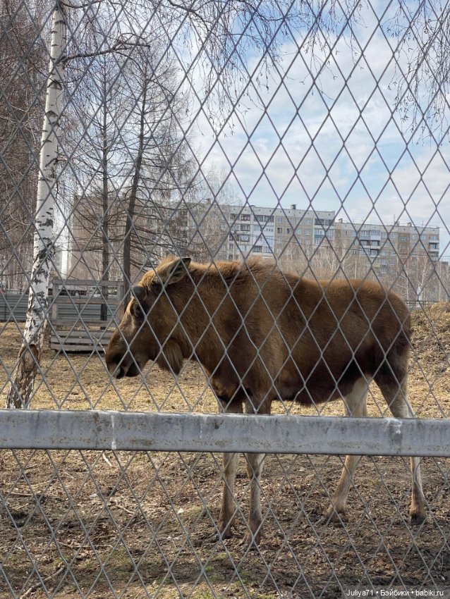 Апрельское путешествие маленькой Луны (фото 5)