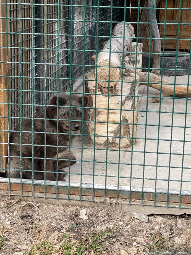 Апрельское путешествие маленькой Луны (фото 6)