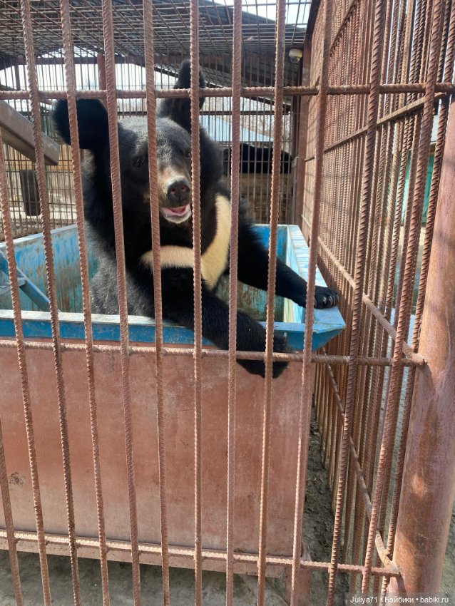 Апрельское путешествие маленькой Луны (фото 4)