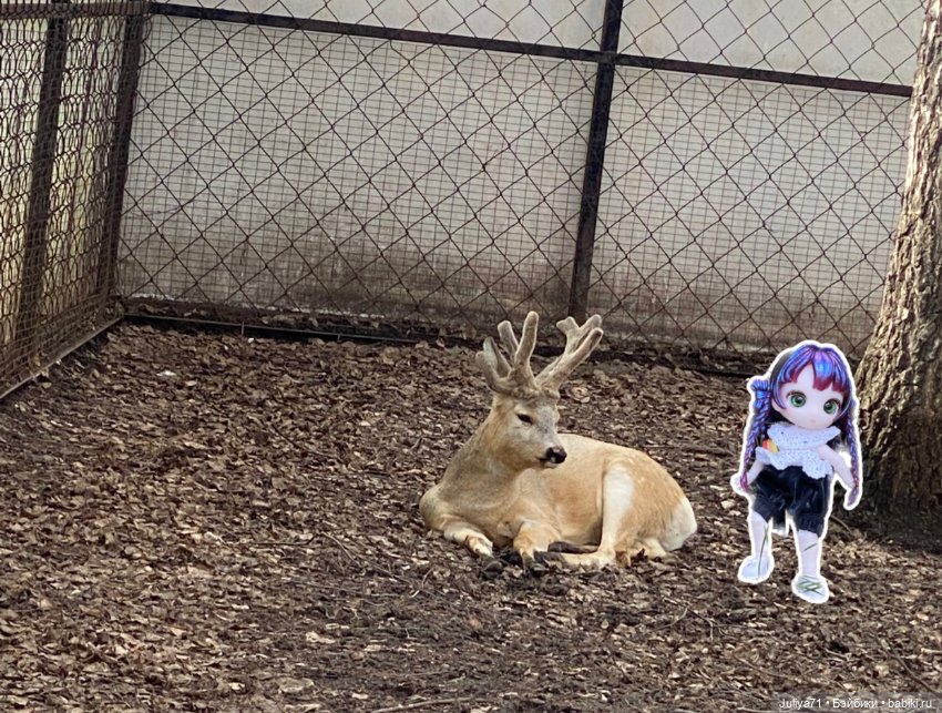 Апрельское путешествие маленькой Луны (фото 7)