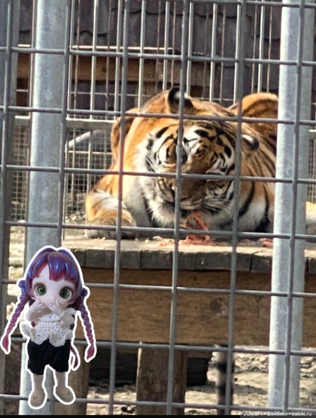 Апрельское путешествие маленькой Луны (фото 8)