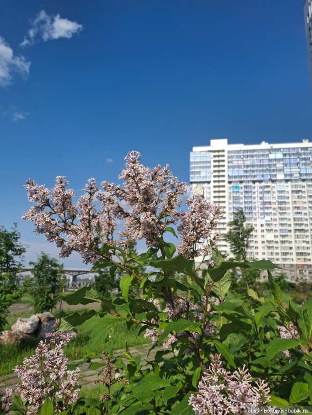 Не принцессы — Игровые куклы разных производителей (Разное): редкие бренды (фото 7)