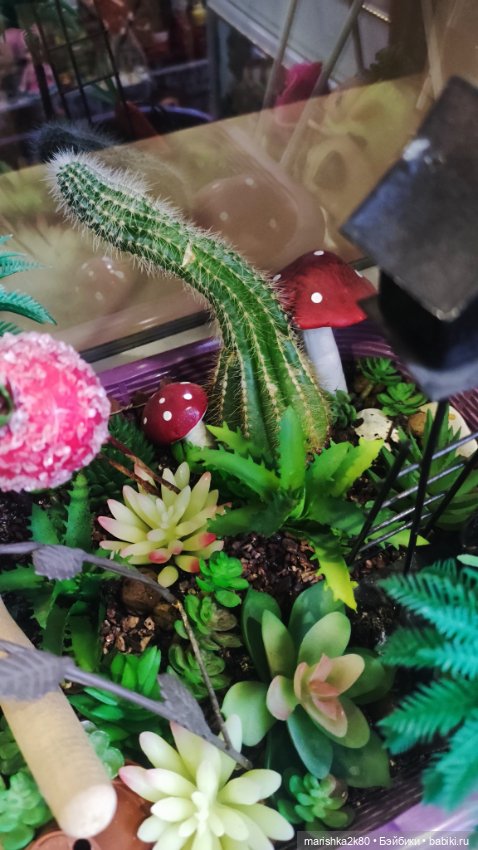 Размещение моей коллекции 3 часть