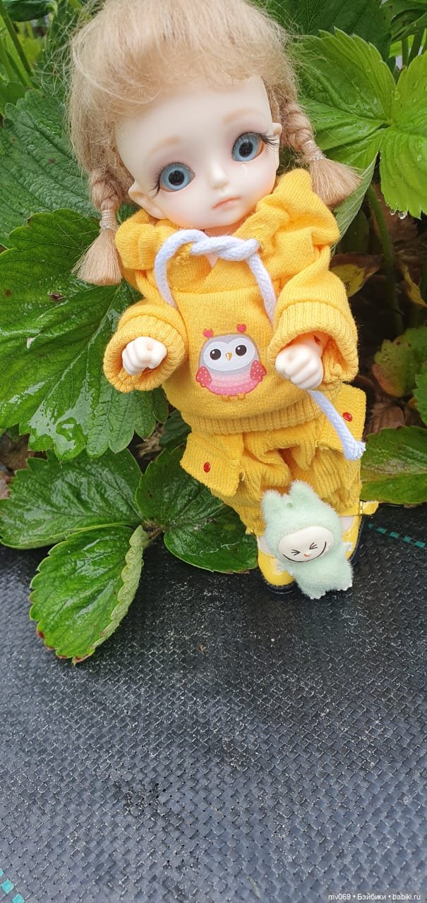 И я с тобой на дачу — Куклы с Алиэкспресс (Aliexpress): Китайские шарнирные (фото 4)