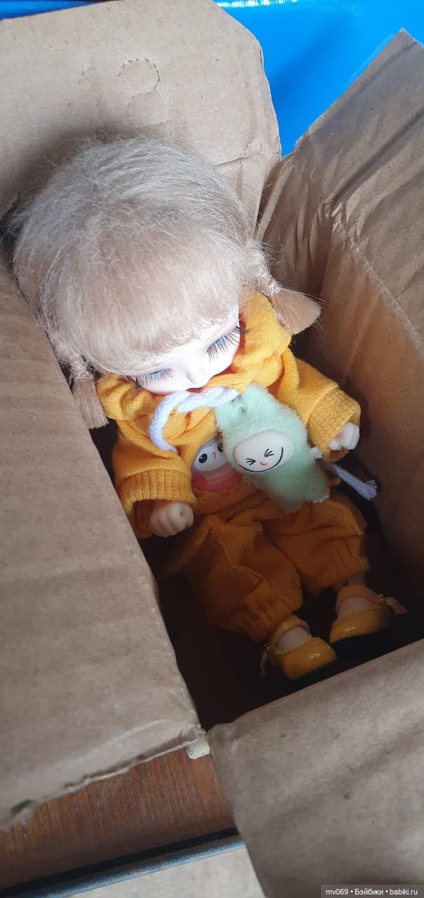 И я с тобой на дачу — Куклы с Алиэкспресс (Aliexpress): Китайские шарнирные (фото 2)