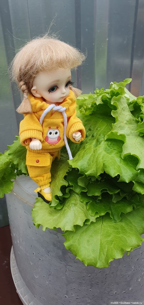 И я с тобой на дачу — Куклы с Алиэкспресс (Aliexpress): Китайские шарнирные (фото 5)