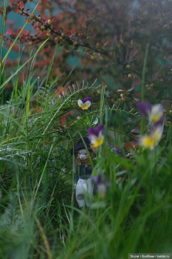 Тихое утро — Домашние фото авторских игрушек: Тедди