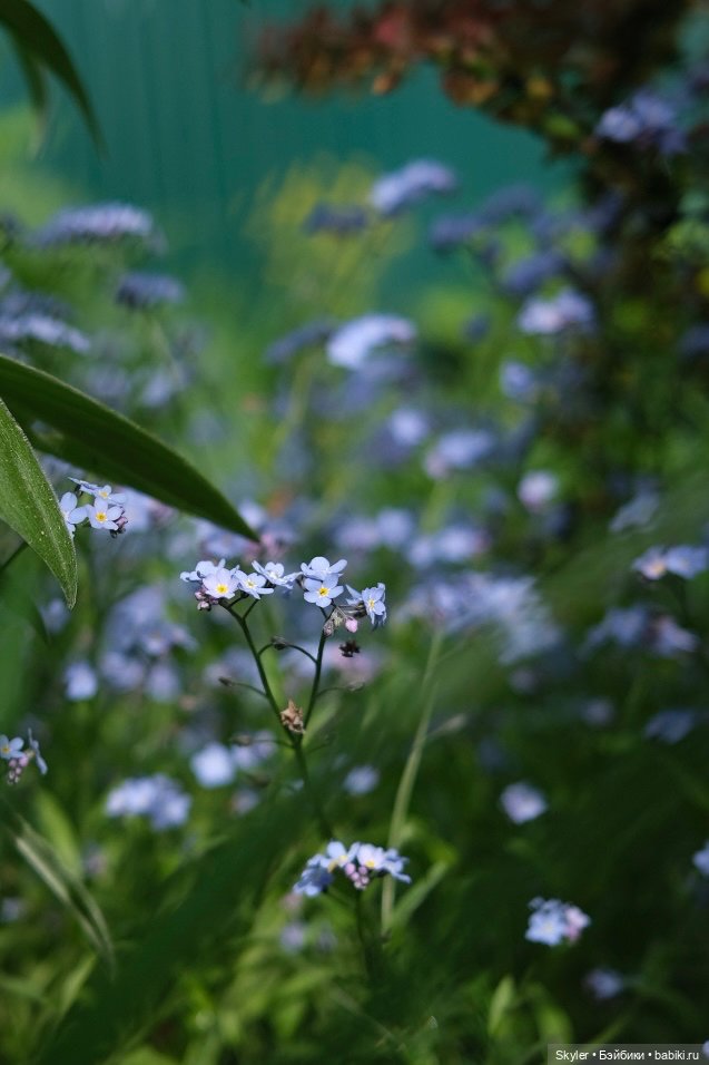 Тихое утро — Домашние фото авторских игрушек: Тедди