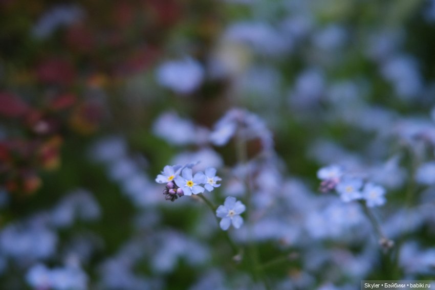 Тихое утро — Домашние фото авторских игрушек: Тедди (фото 5)