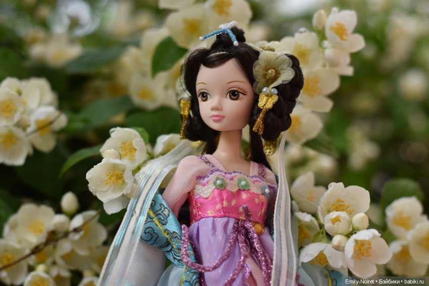 Фото-подборка: Жасмин во время дождя (фото 9)