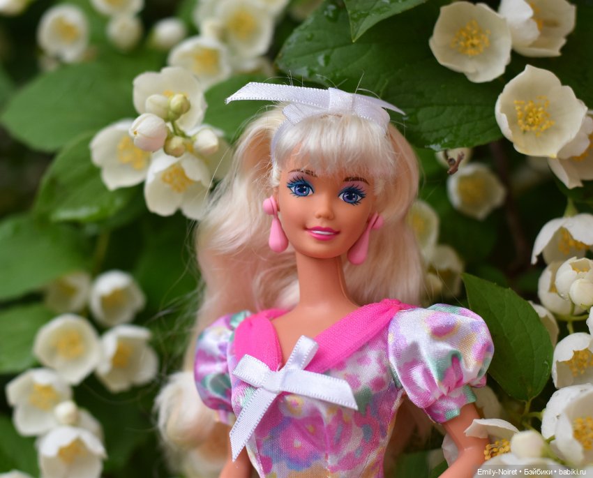 Фото-подборка: Жасмин во время дождя (фото 2)