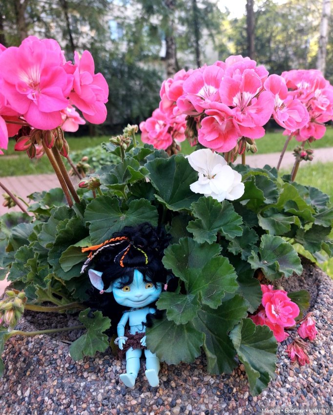 11см счастья 😀 — Разные куклы BJD (БЖД): редкие бренды