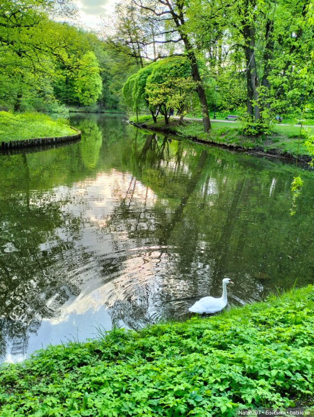 Прогулка с Лизой от Heidi Plusczok в Царицыно. Часть2 (фото 6)