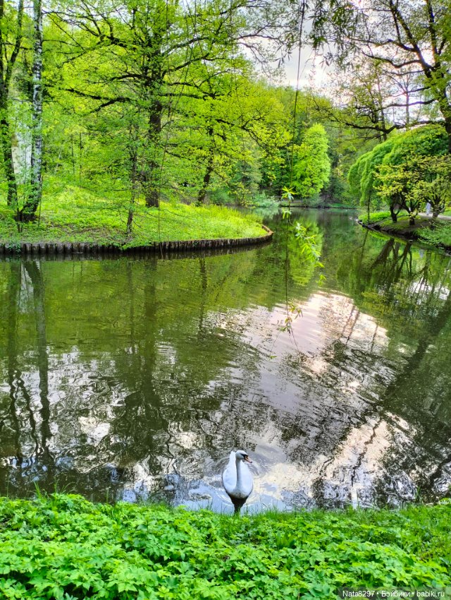 Прогулка с Лизой от Heidi Plusczok в Царицыно. Часть2 (фото 7)