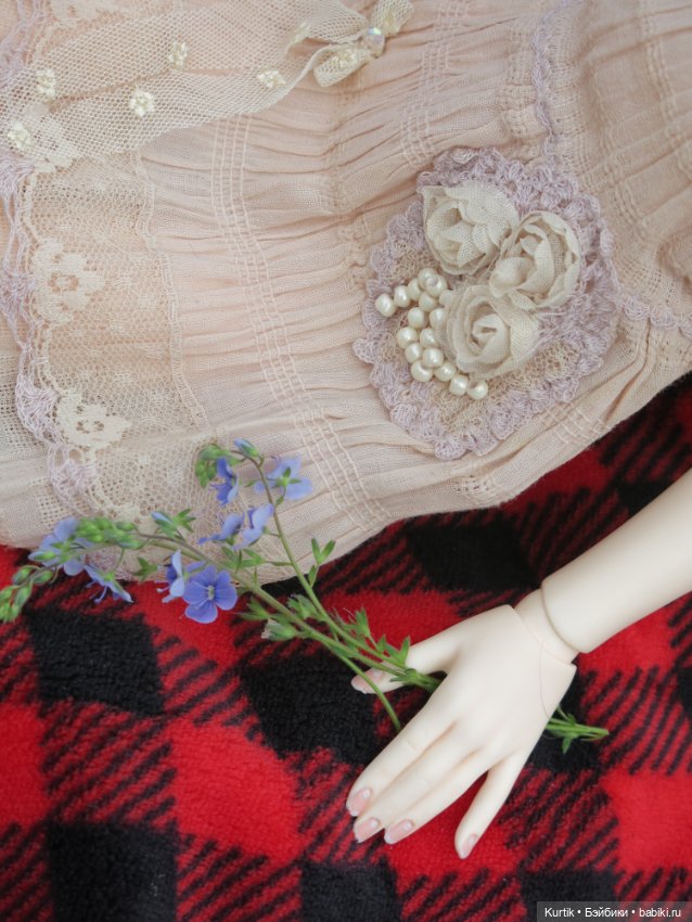 На пикнике — Фотоистории с куклами BJD (БЖД): сериалы (фото 3)