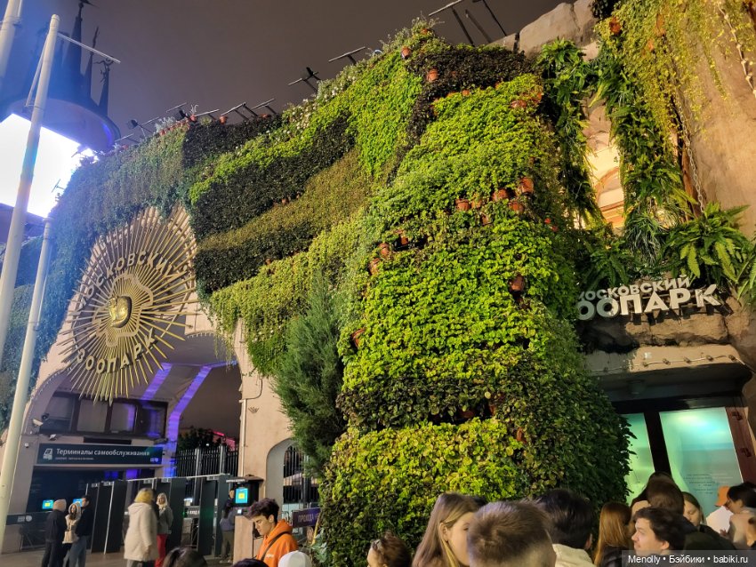 Тени незабытых предков — Интересное обо всем: поздравления (фото 2)