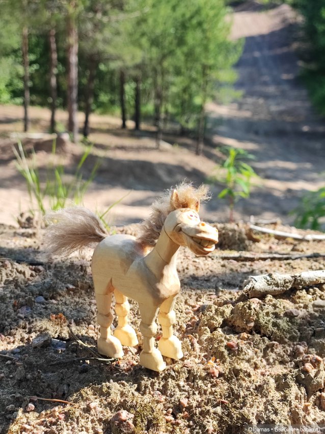 Конь на прогулке!! 🐴🐴🐴🌿🌿🌿