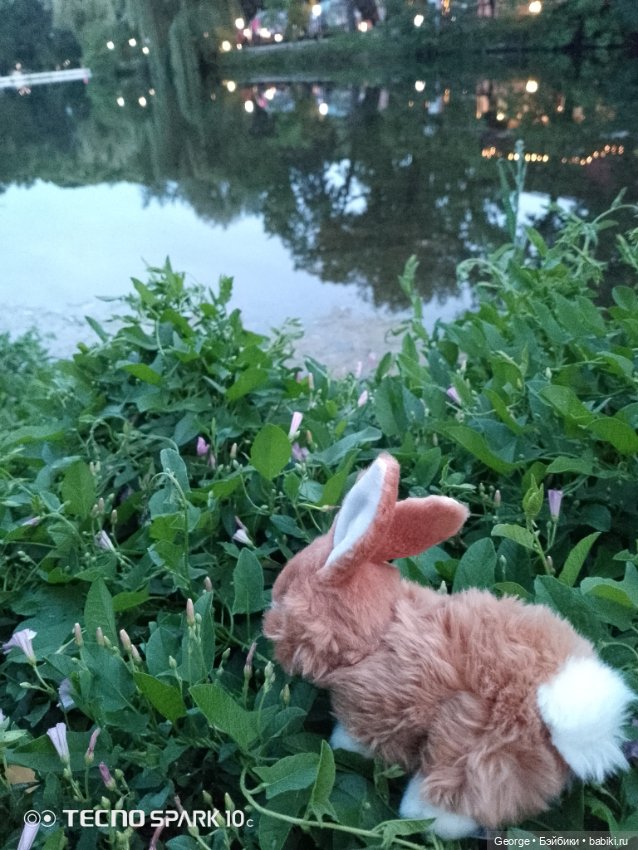 Вечерний вид — Интересные игрушки и фигурки (разное): редкие (фото 2)