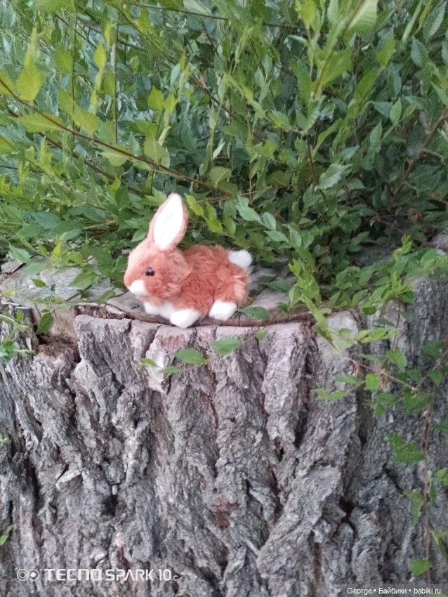 Вечерний вид — Интересные игрушки и фигурки (разное): редкие