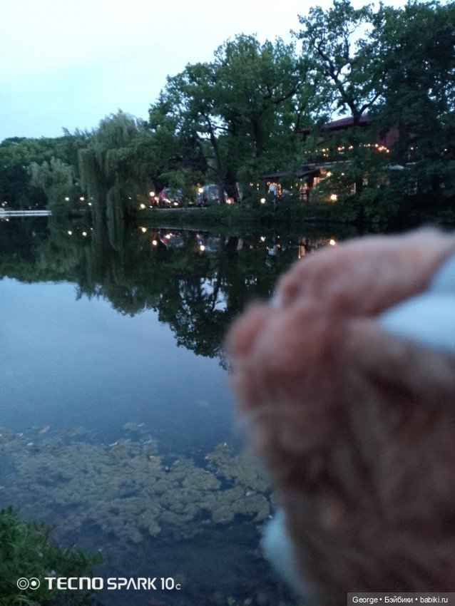 Вечерний вид — Интересные игрушки и фигурки (разное): редкие (фото 3)