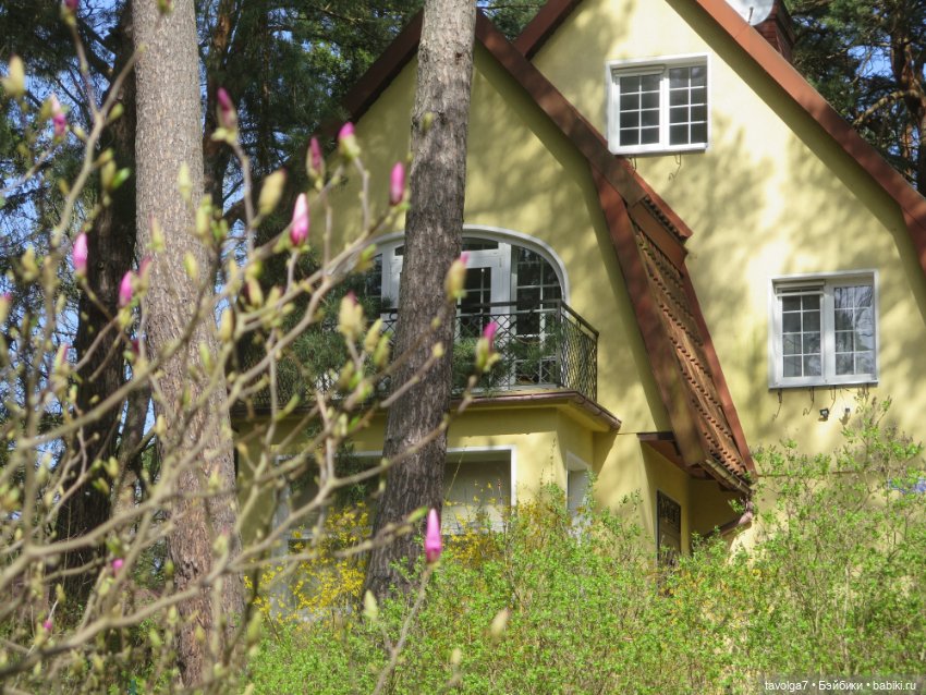 Эльха-Ариэль на Балтике — Туризм и путешествия: фотоотчеты из поездок