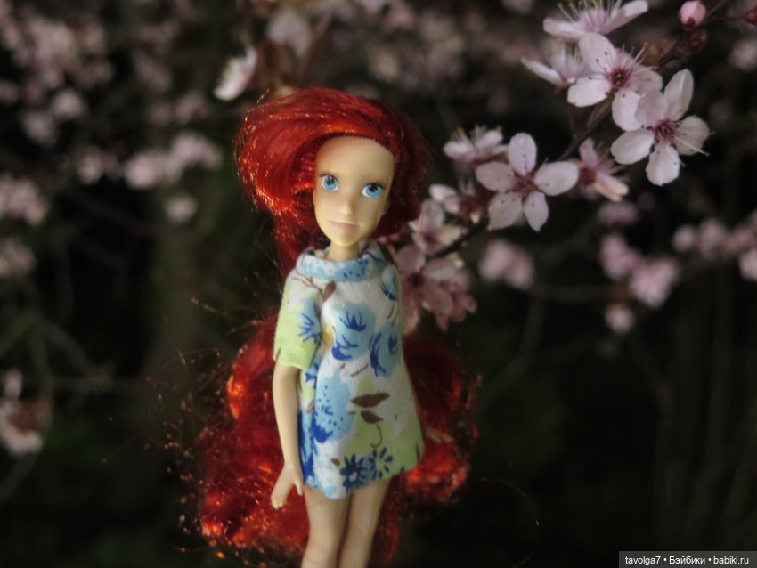 Эльха-Ариэль на Балтике — Туризм и путешествия: фотоотчеты из поездок